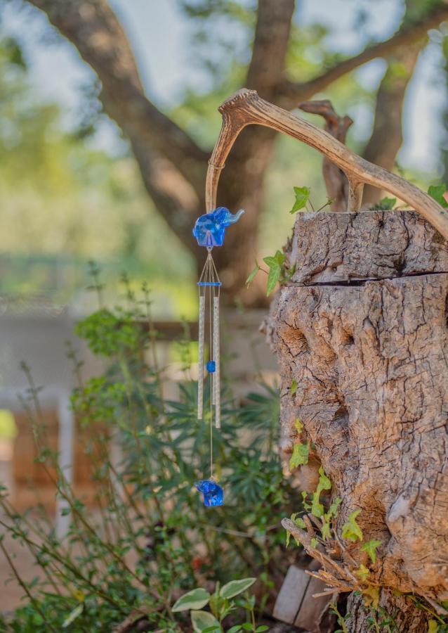 Studio App Luka-We Love Nature. Sveti Ivan  ภายนอก รูปภาพ